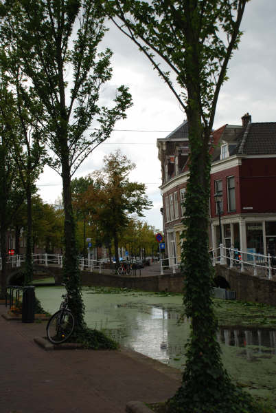Delft6