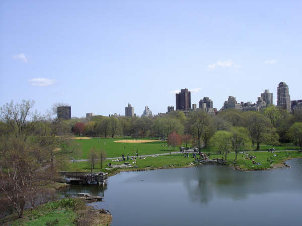 NY Central Park 1